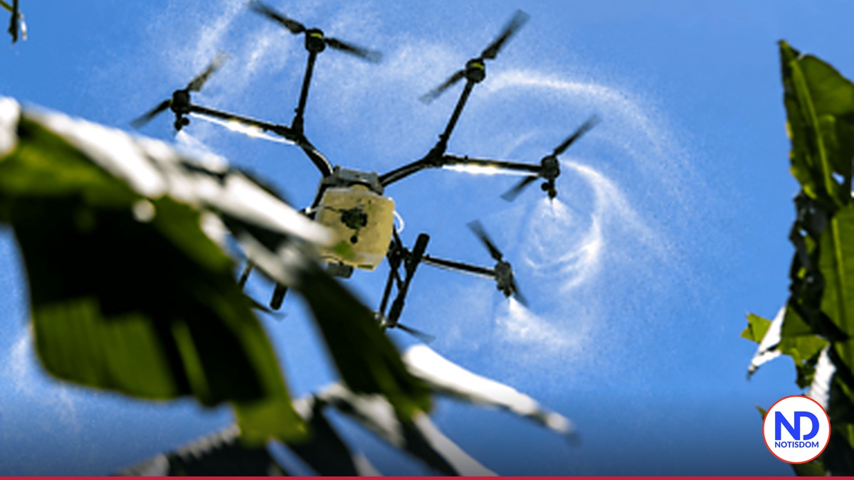 Agro dominicano exige tecnología y relevo generacional para crecer