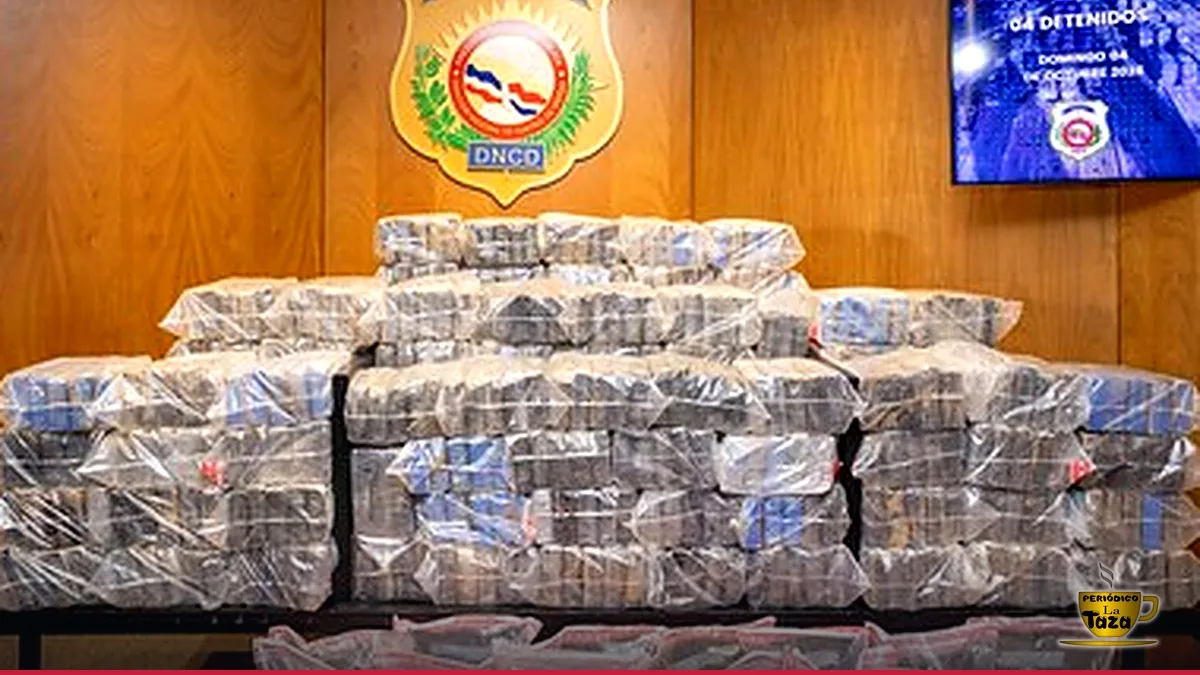 Hallan 'Narcomono' en Operativo Contra Narcotráfico