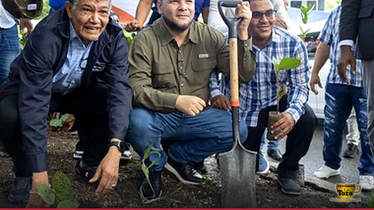 Santo Domingo Oeste se viste de verde con 'Siembra tu Pueblo'